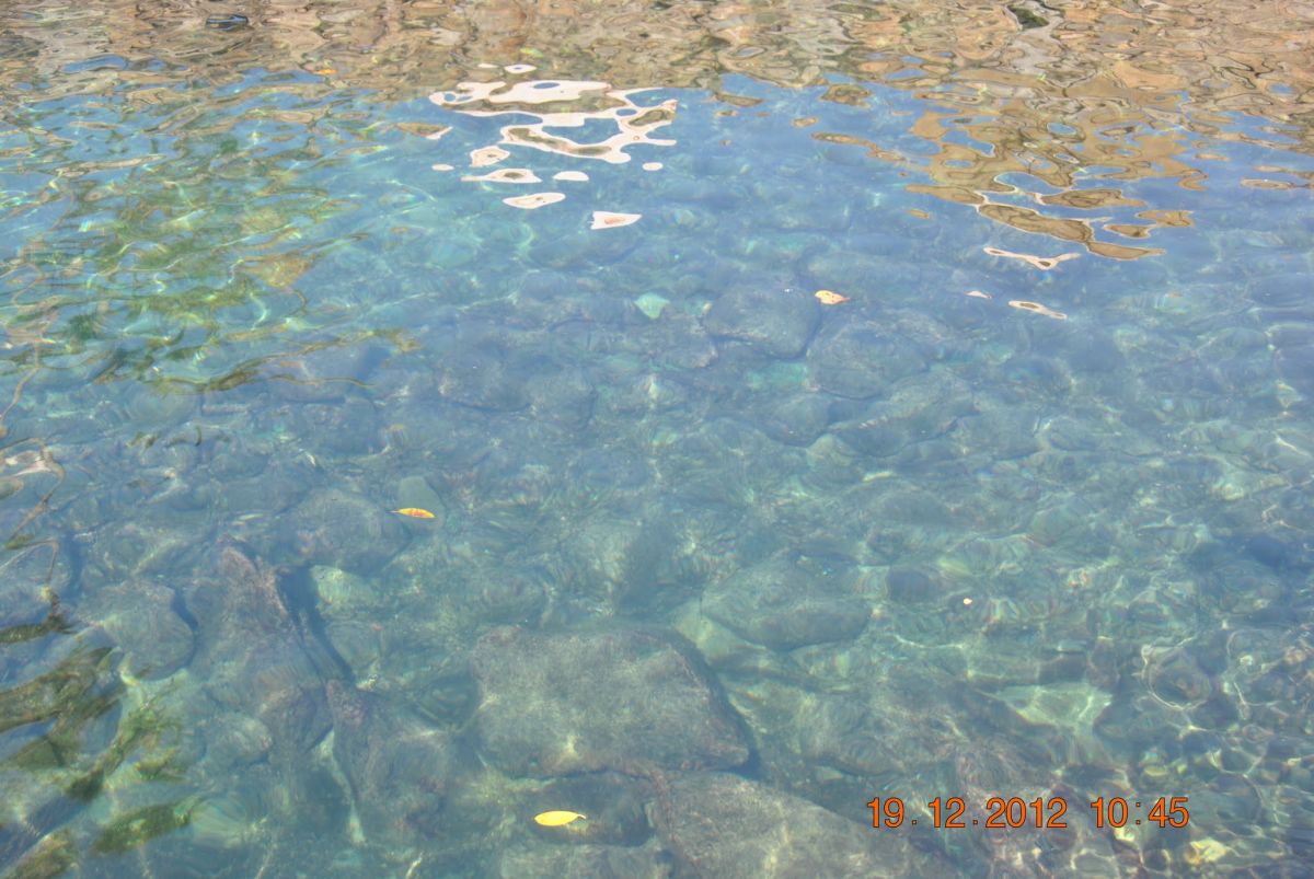 imagini hotel LAS BRISAS